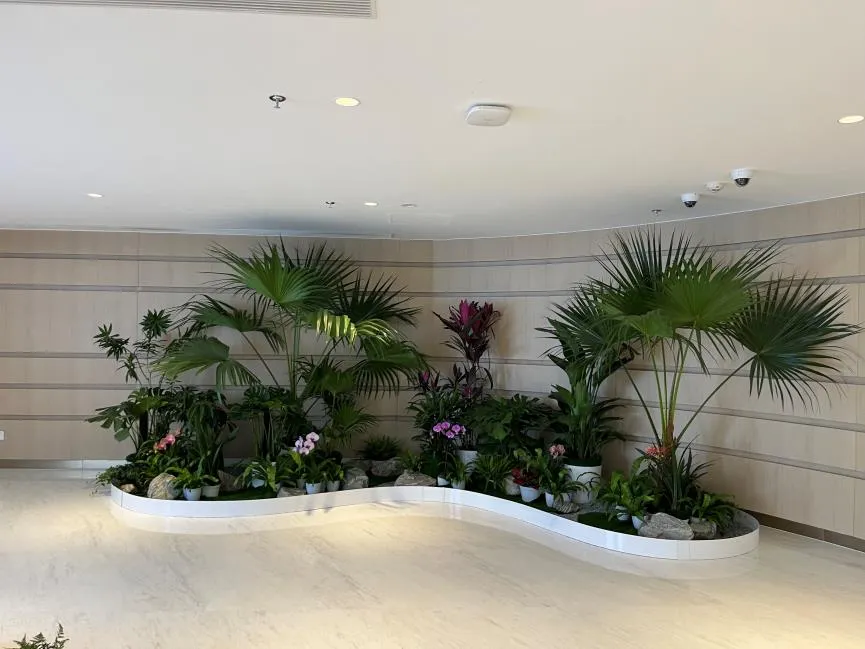 宁波花卉租赁公司